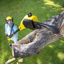 Best Aeration Services  in USA